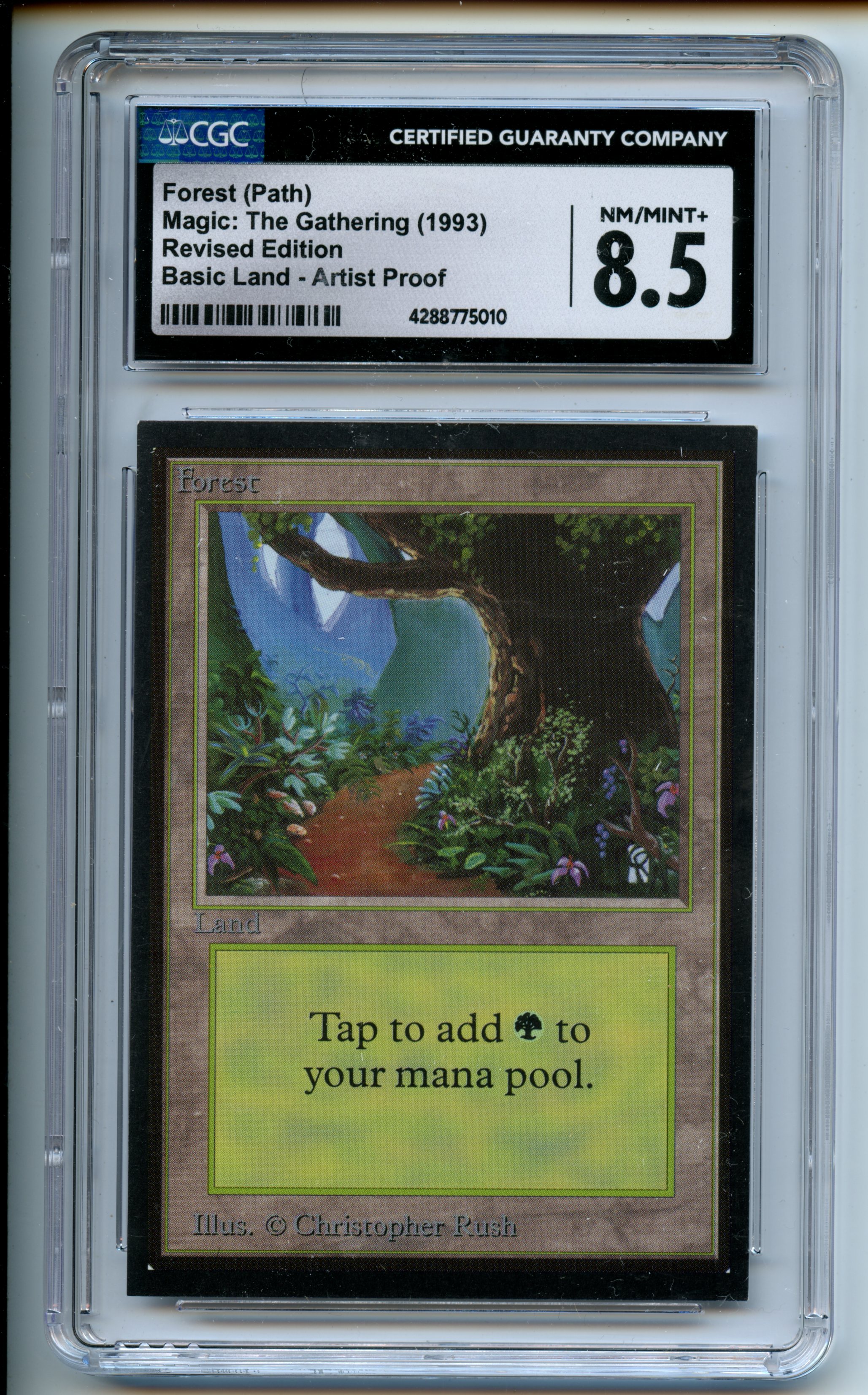 Magic: The Gathering - Forest (Path) Artist Proof - Limited Edition Beta - CGC 8.5