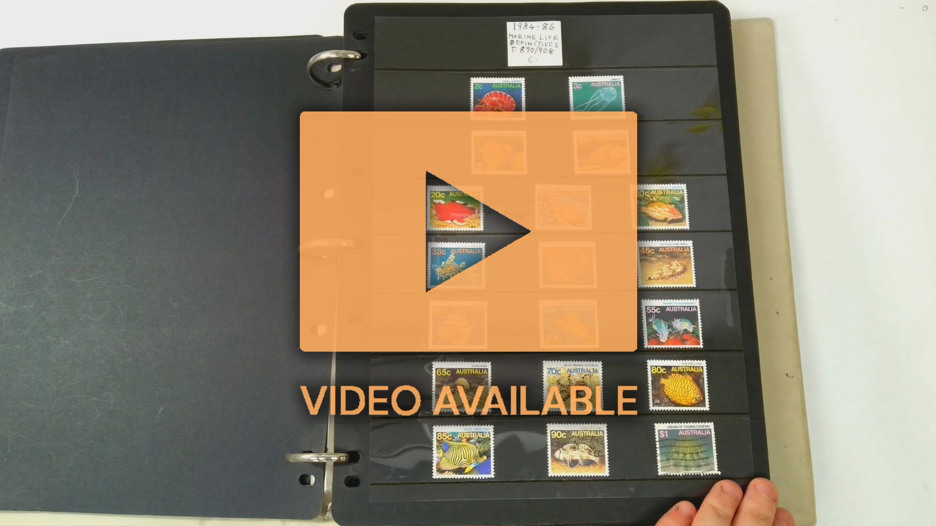 AUSTRALIA 1913 to 1995 mint and used collection neatly displayed in two albums on Hagners, used includes 1913 roos to £1