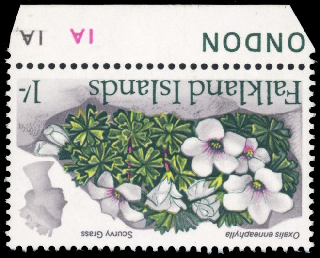 Falkland Islands SG 240w 1968 1s Scurvy Grass, watermark inverted mint