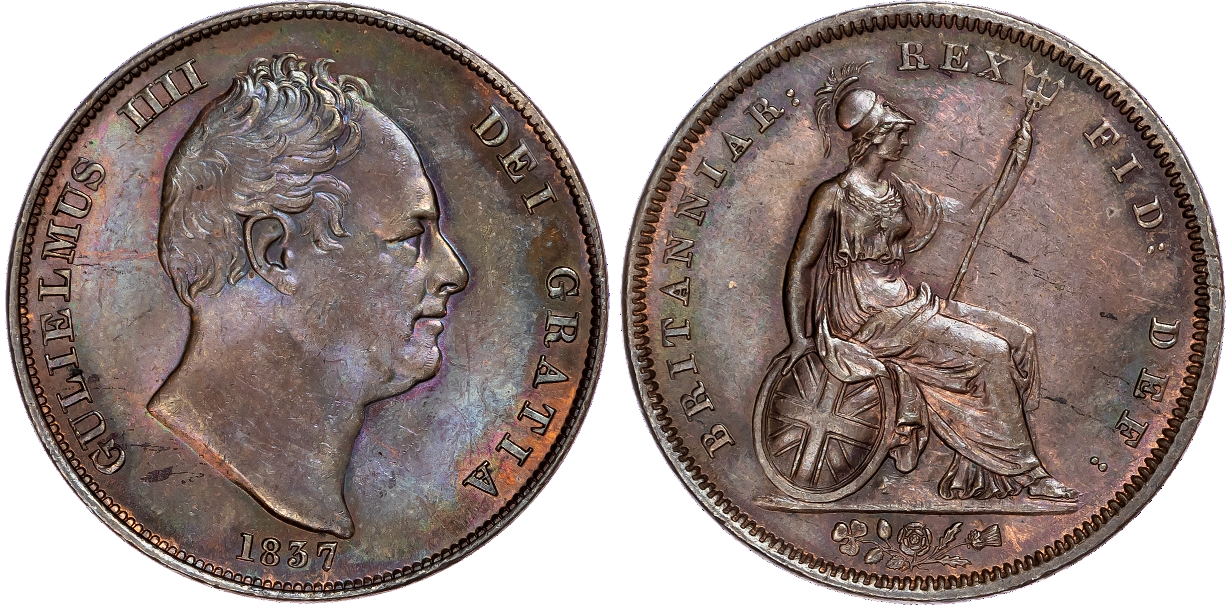William IV (1830-1837), Penny, 1837