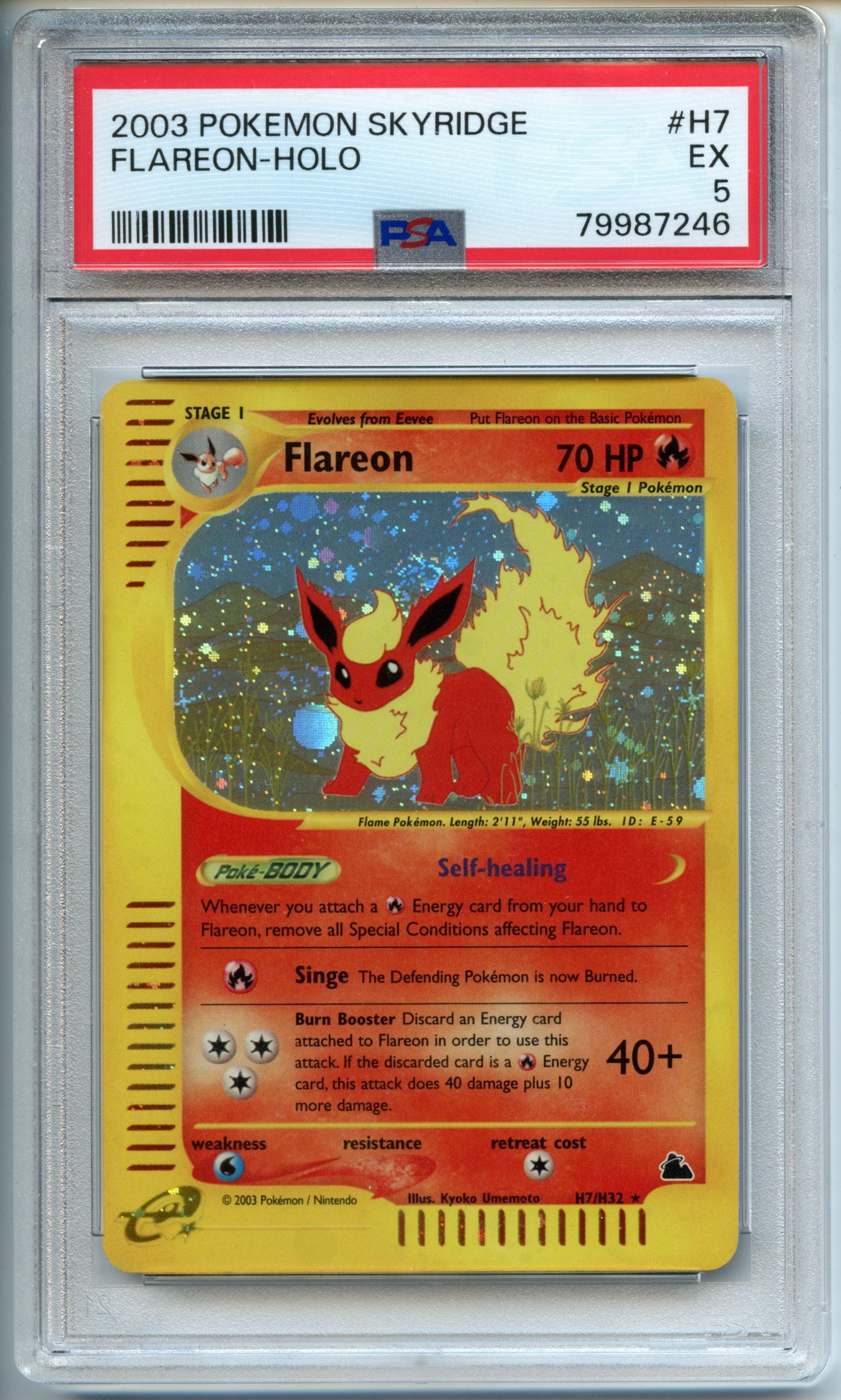 Pokemon TCG  - Flareon  HOLO  - Skyridge  - PSA 5