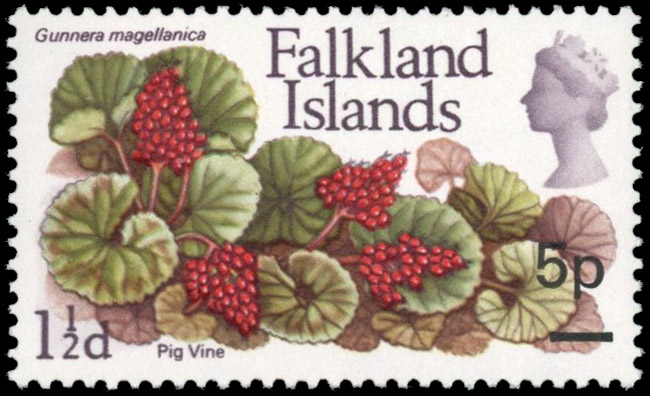 Falkland Is SG 264b 1971 5p on 1½d error surcharge at right mint