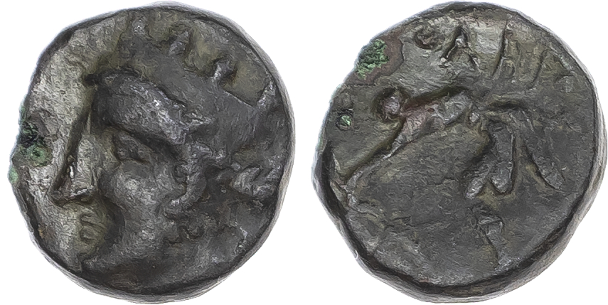 Lot of 5 Skythia, Olbia Æ Coins.