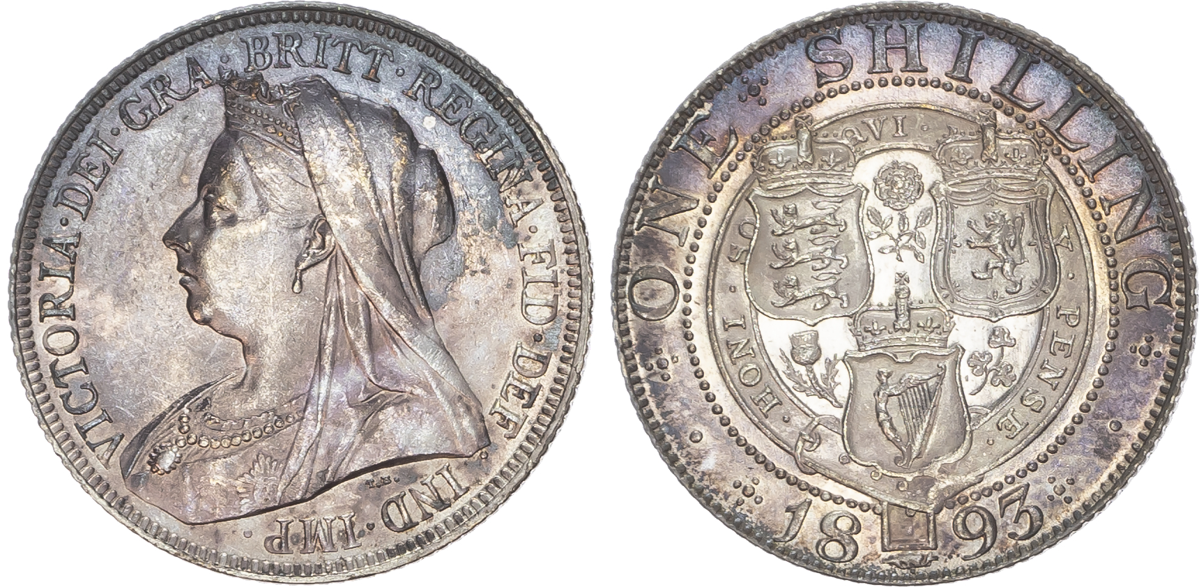 Victoria (1837-1901) Shilling, 1893, large lettering, small rose.