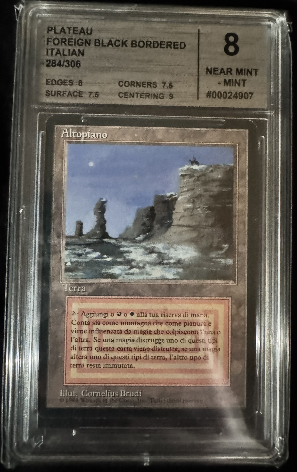 Magic The Gathering - Plateau - Foreign Black Bordered Italian - CMG 8 Near Mint/-Mint 