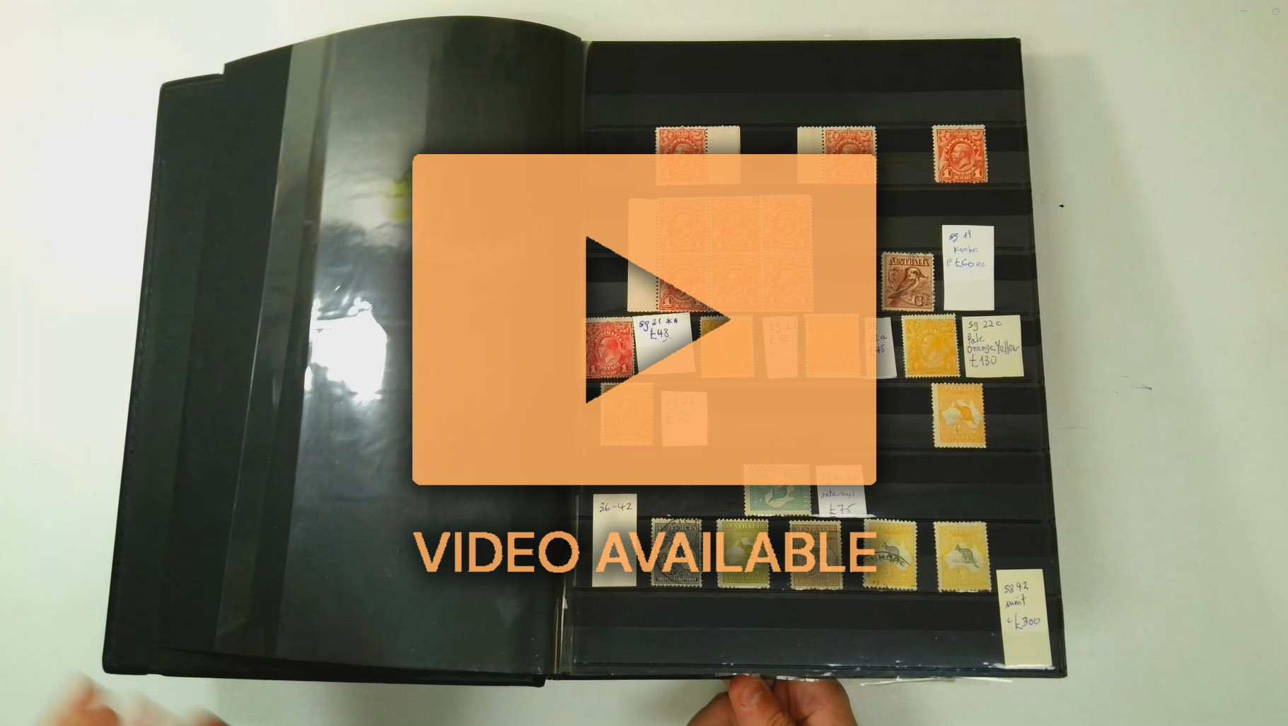 AUSTRALIA: 1913-30 mainly mint collection arranged in a Brown stockbook