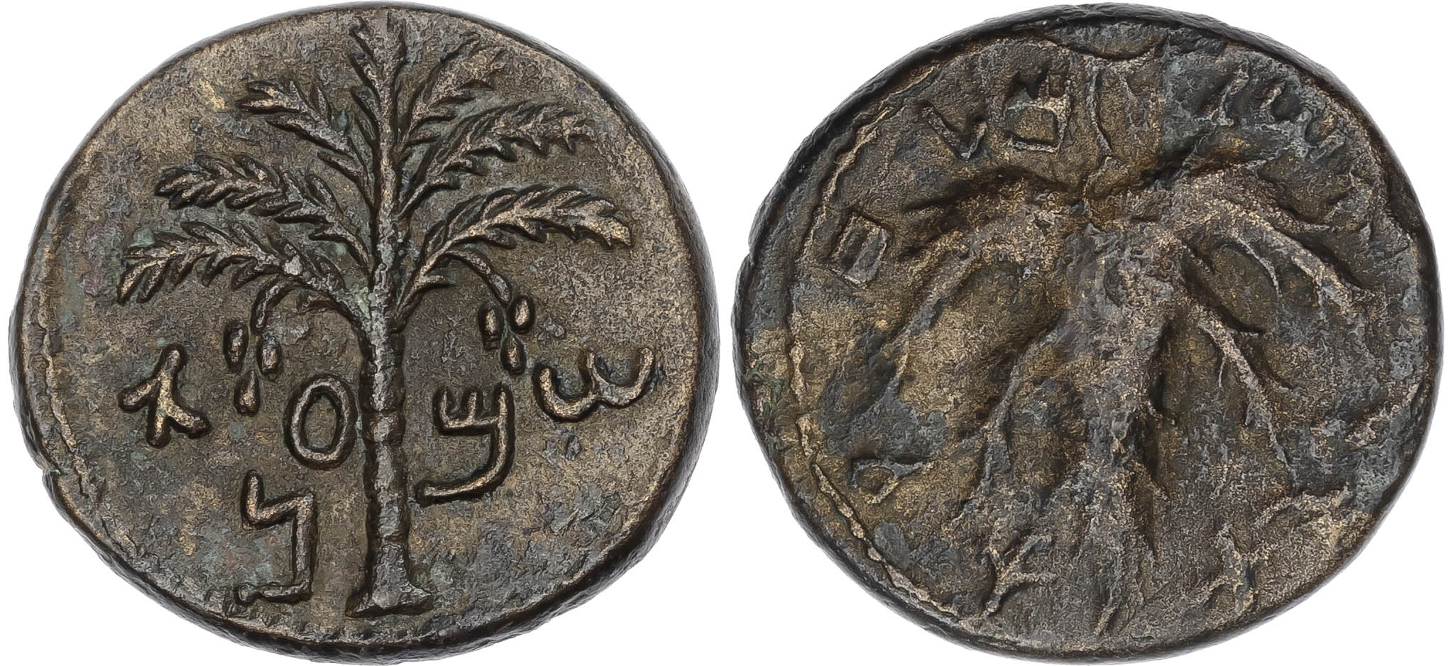 Judaea, Bar Kokhba Revolt (AD 132-135) AE Middle Bronze, undated issue, year 3, 12.78g. 
