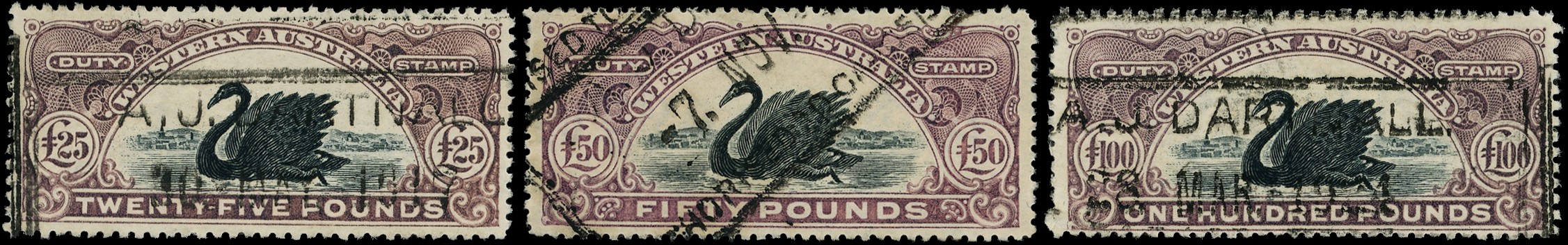 1904-66 specialised collection of Swan issues on Stock...