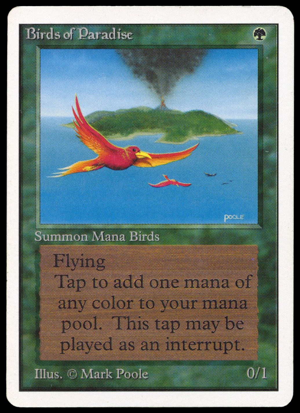 Unlimited Birds of Paradise - (EX+)