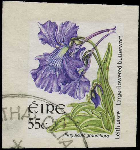 2007 55c. Butterwort self-adhesive,...