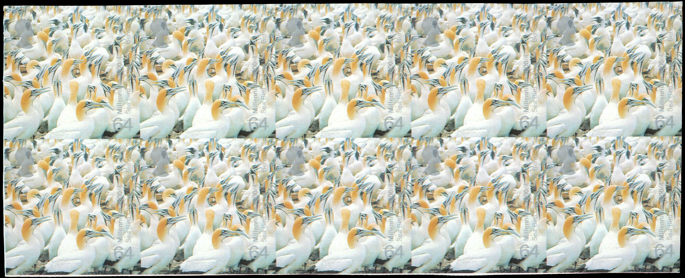 GB: 2000 64p Gannets, Millennium Projects (1st series) imperforate proof block of 10 (5x2) unmounted o.g. 