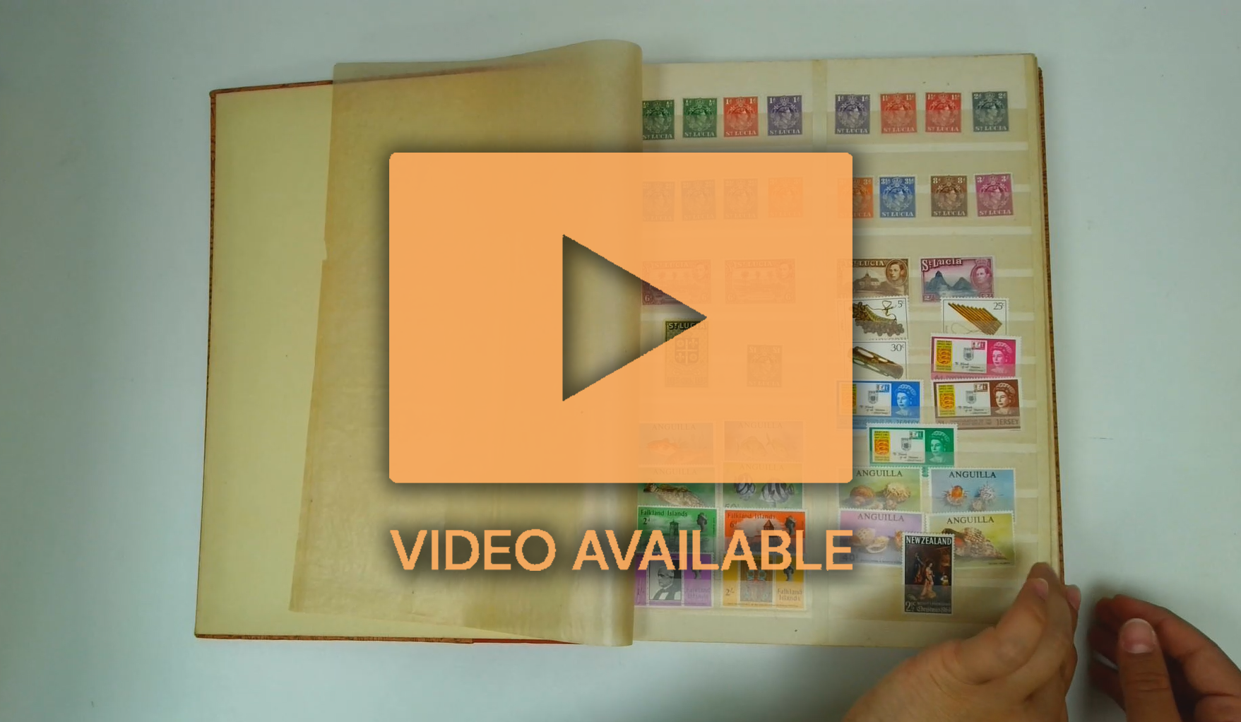 BRITISH COMMONWEALTH KGVI to early QEII mainly mint collection, displayed in five stock books and a few packets, in carton