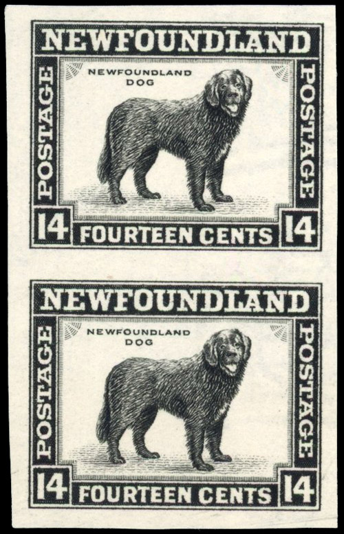 Newfoundland SG 284 imperforate pair mint