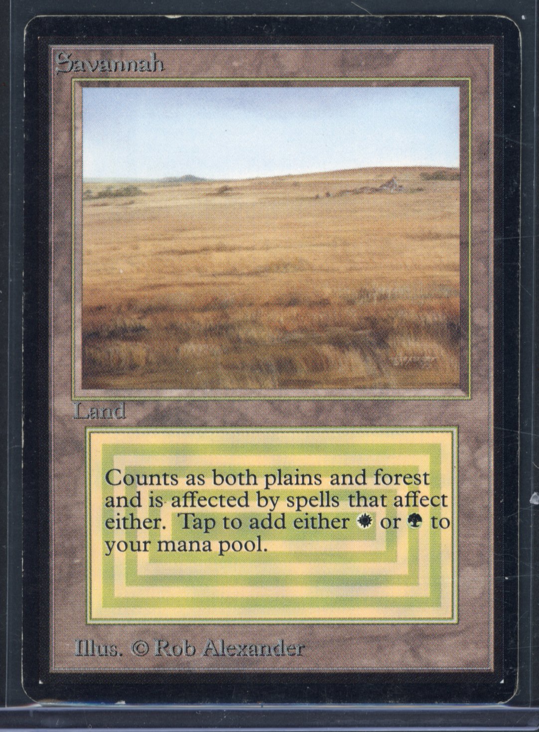 Magic The Gathering - Savannah - BETA - Heavy Play