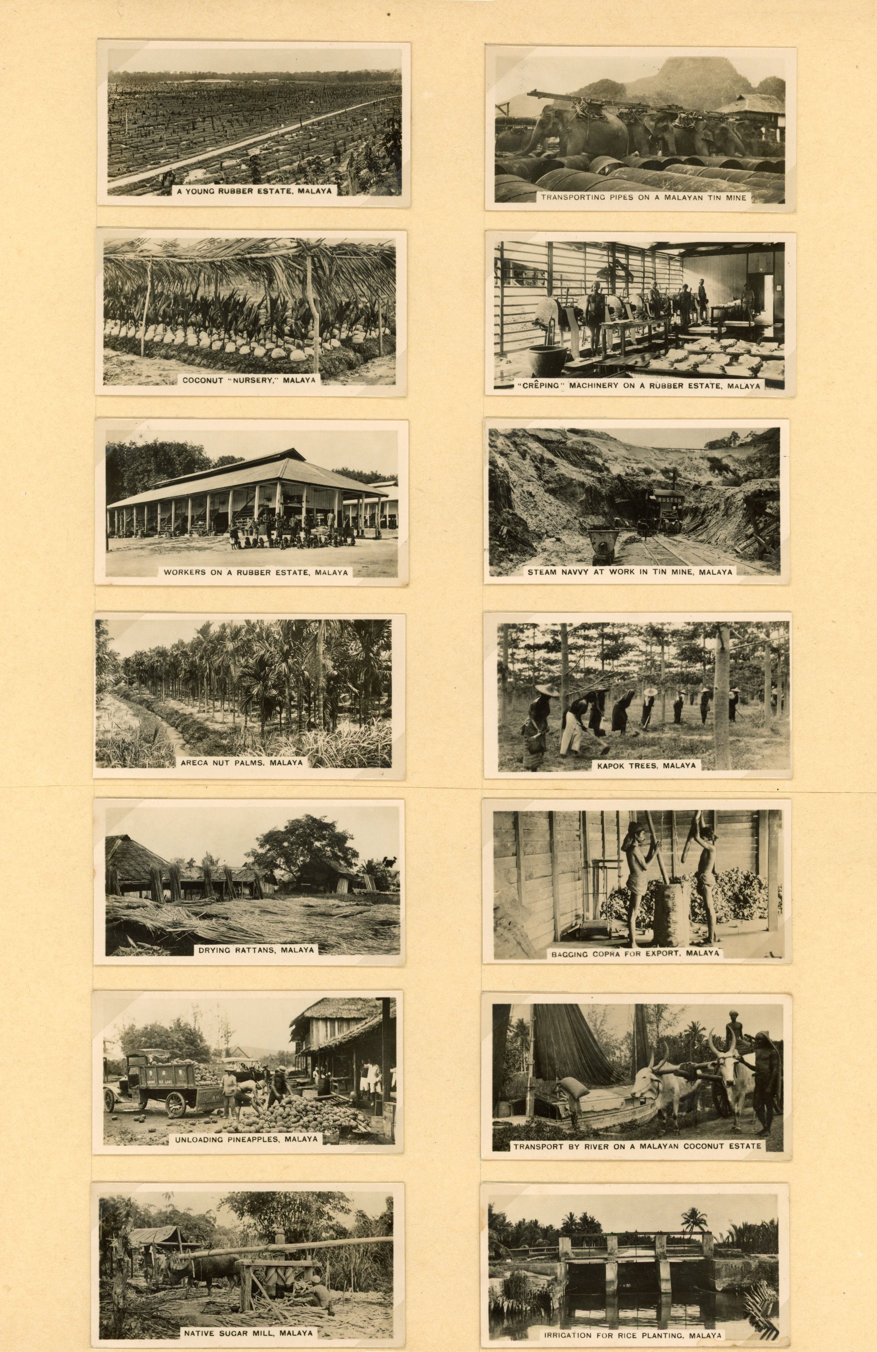 Malaya Cigarette Cards; Carreras Malayan Industries