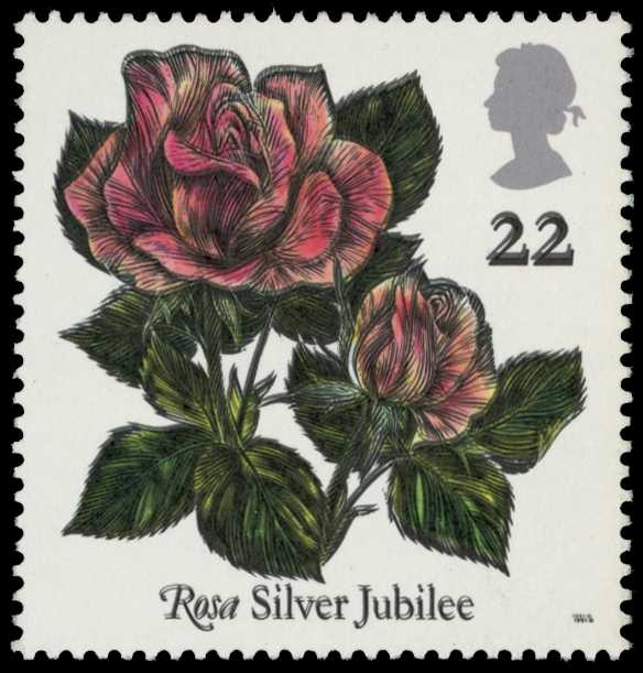 1991 World Congress of Roses, 22p 'Rosa...