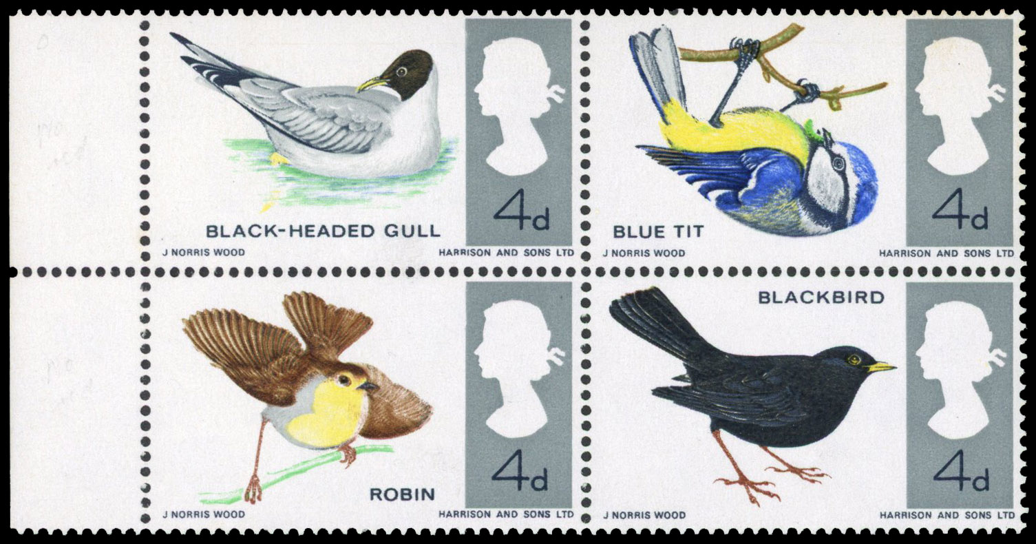 GB: 1966 4d British Birds ordinary block of 4, red omitted affecting gull's beak and robin's breast. A fine left hand