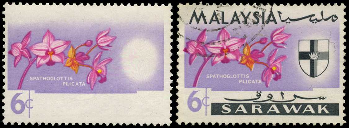 1965 6c spathoglottis plicata, black...