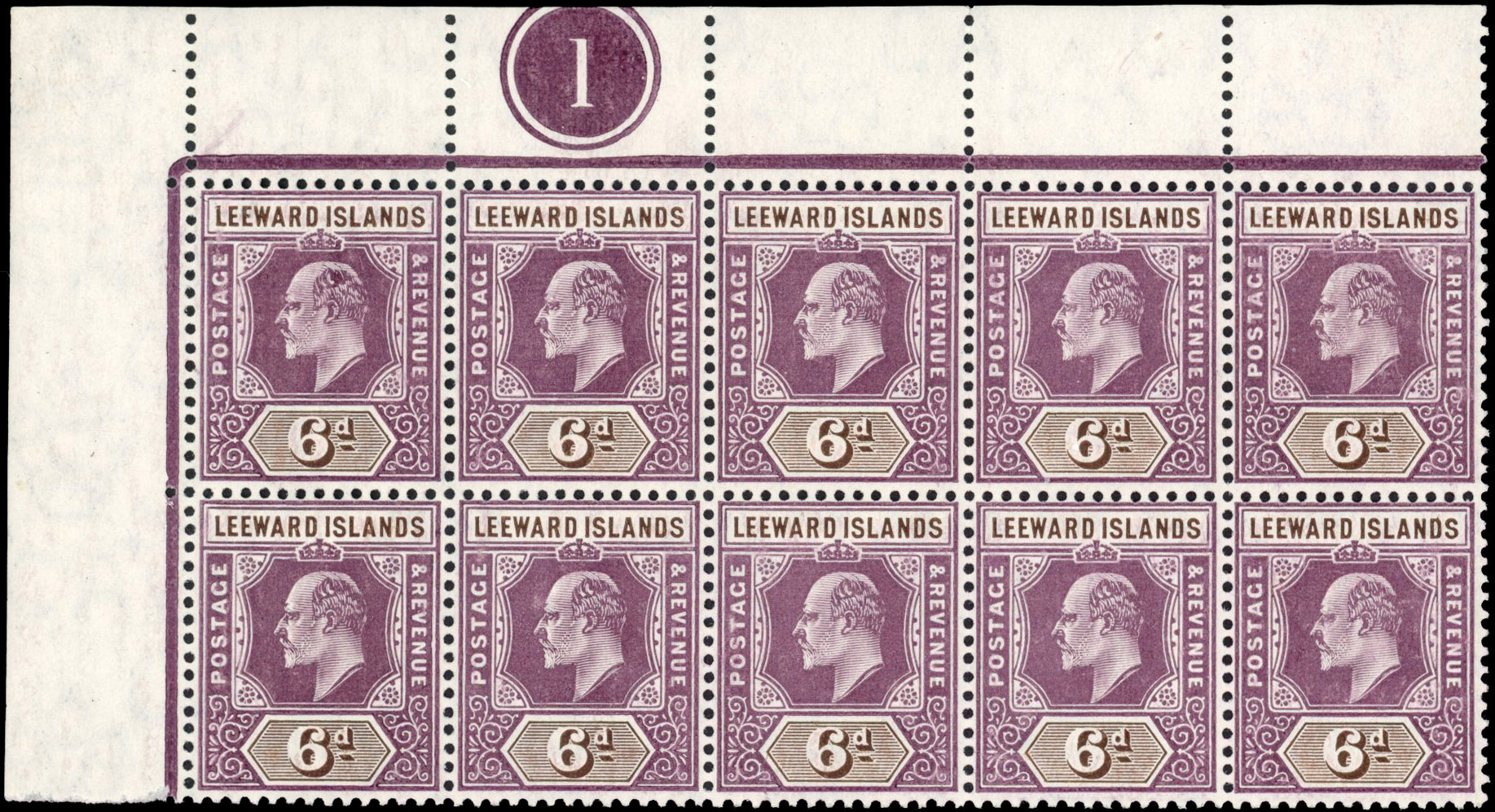 Leeward Islands 1905-08 6d dull purple and brown block of 10 with R.1/3 damaged frame and crown (Spaven flaw)SG 34, a