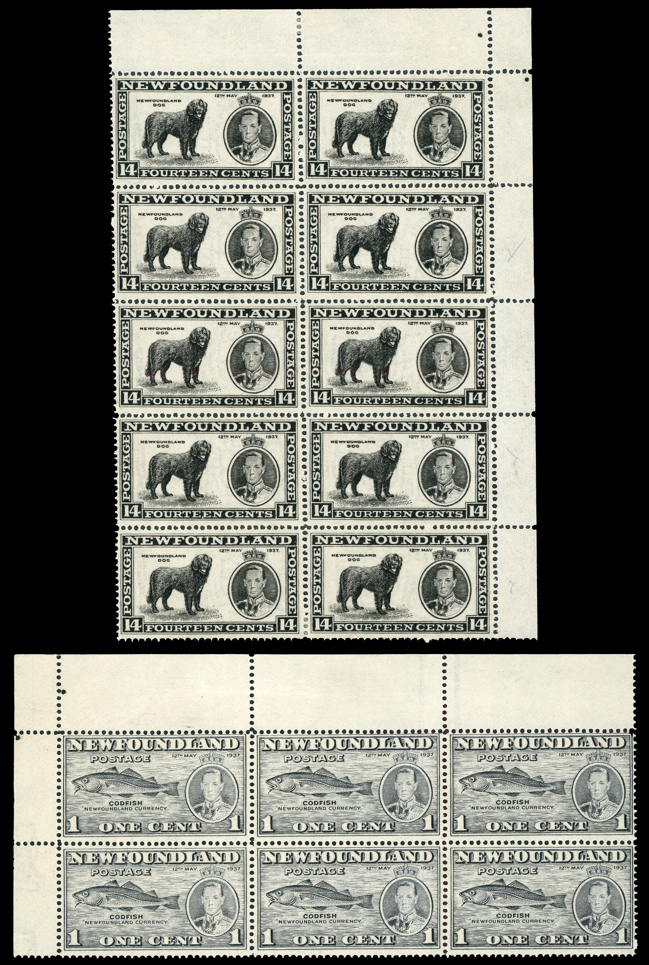 Newfoundland SG 257d, 262 var blocks mint