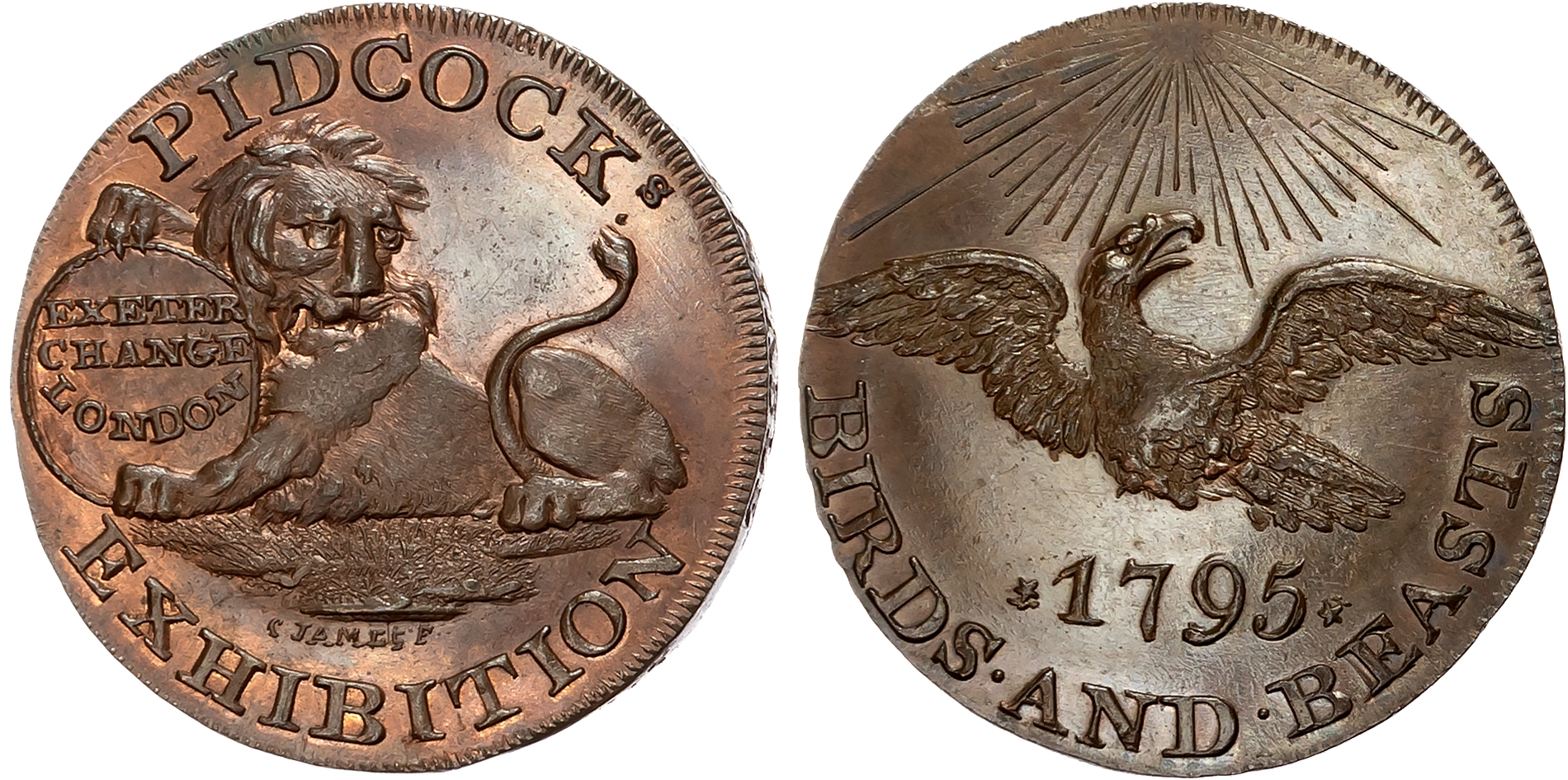 London, Strand, Gilbert Pidcock (zoo/menagerie owner) Halfpenny 1795, Lion holding oval bearing address, rev . Eagle fly …