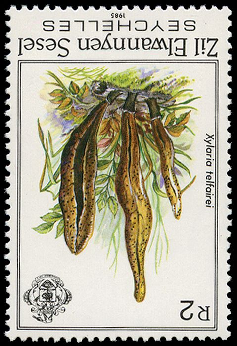 1985 2r. 'Xylaria telfairei' Watermark...