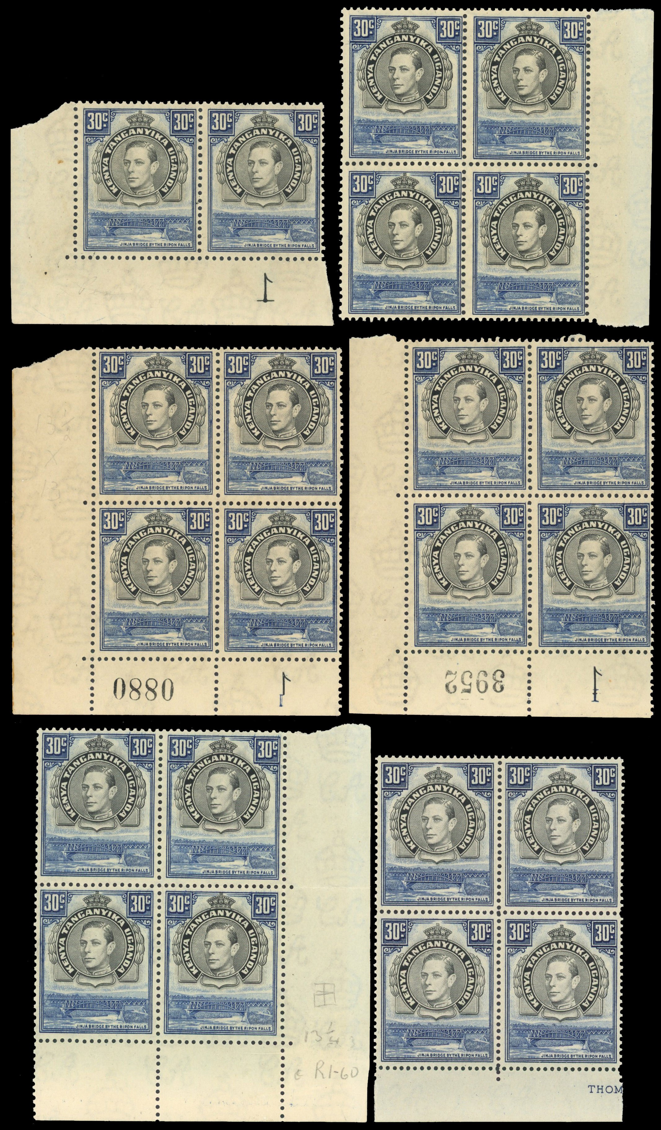 KUT SG 141-2 multiples mint