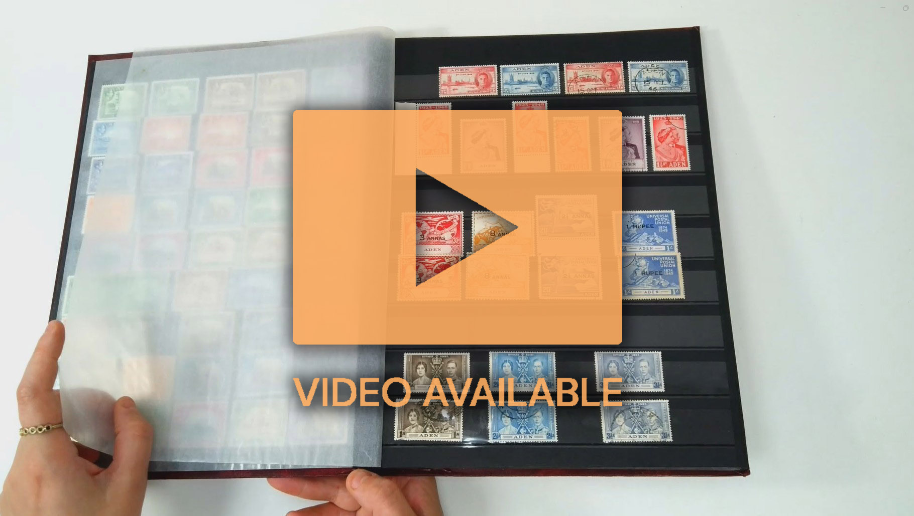 Aden and States mint and used collection in stockbook