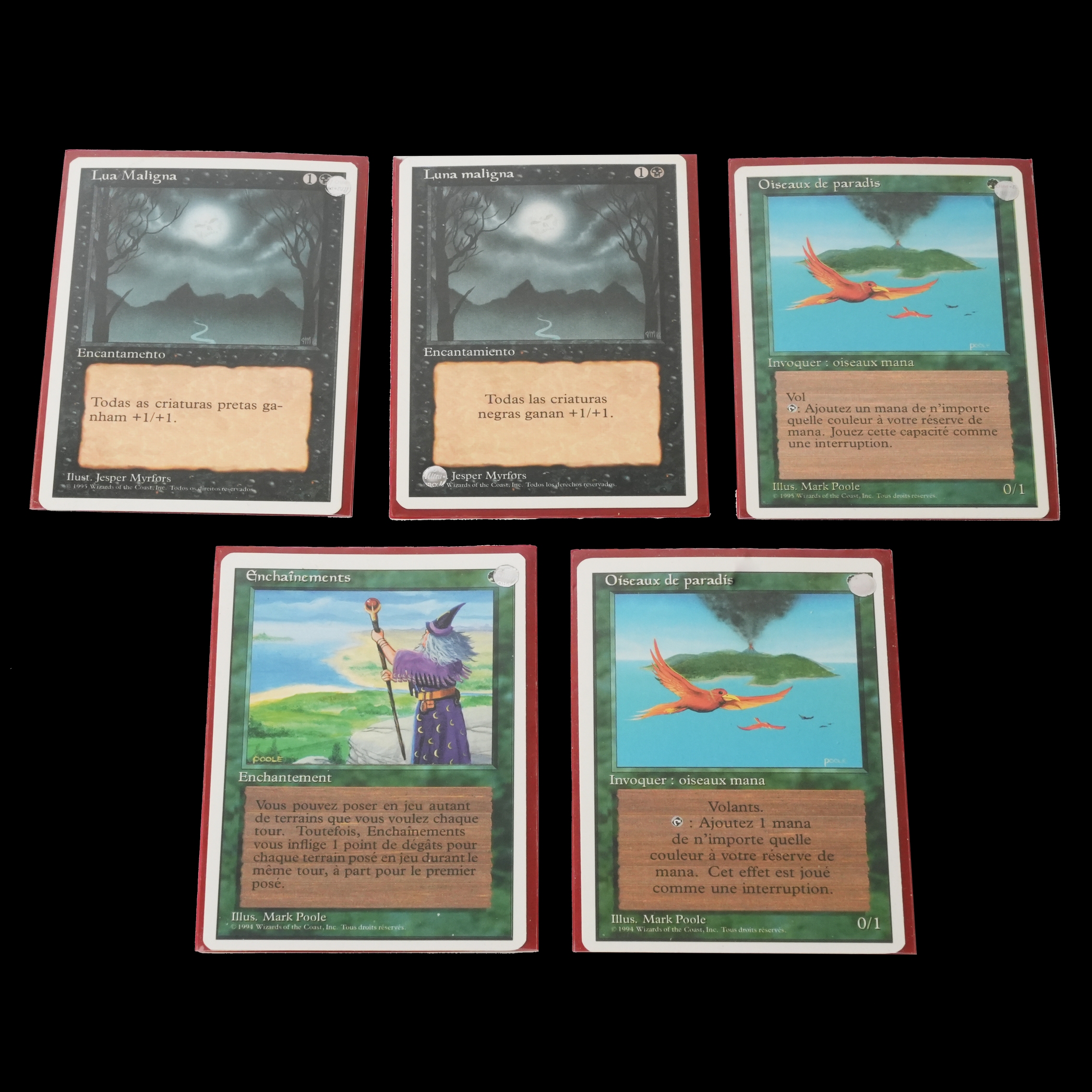 Magic The Gathering Foreign White Border Collection.