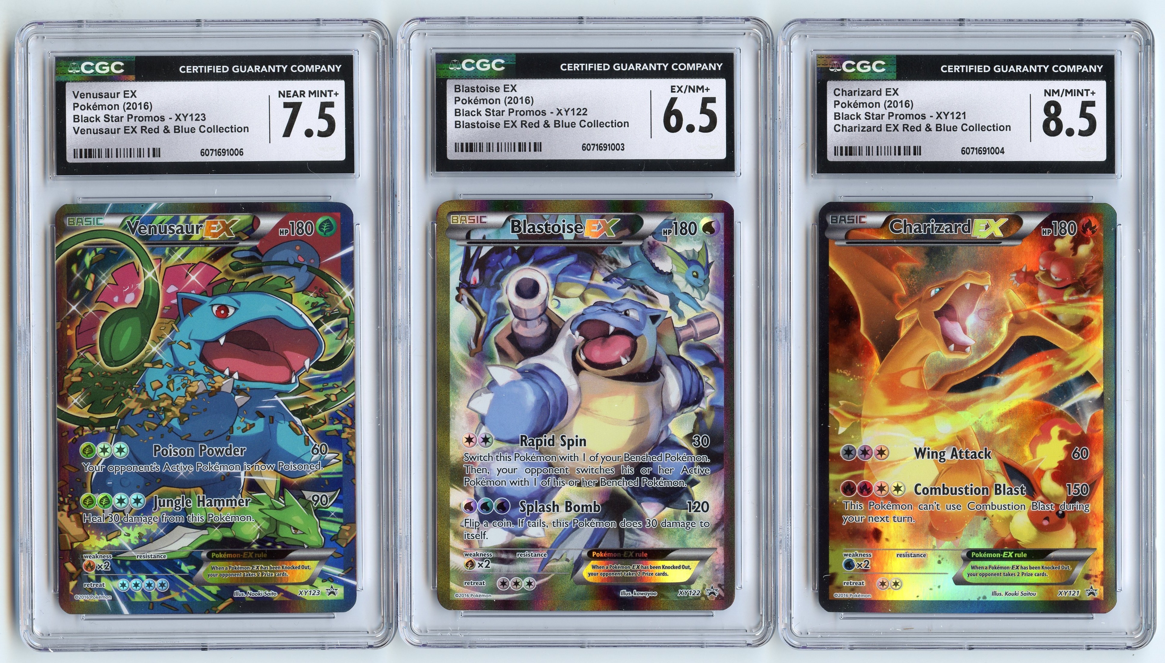 CGC Venusaur EX // Charizard EX // Blastoise EX XY Promo Set