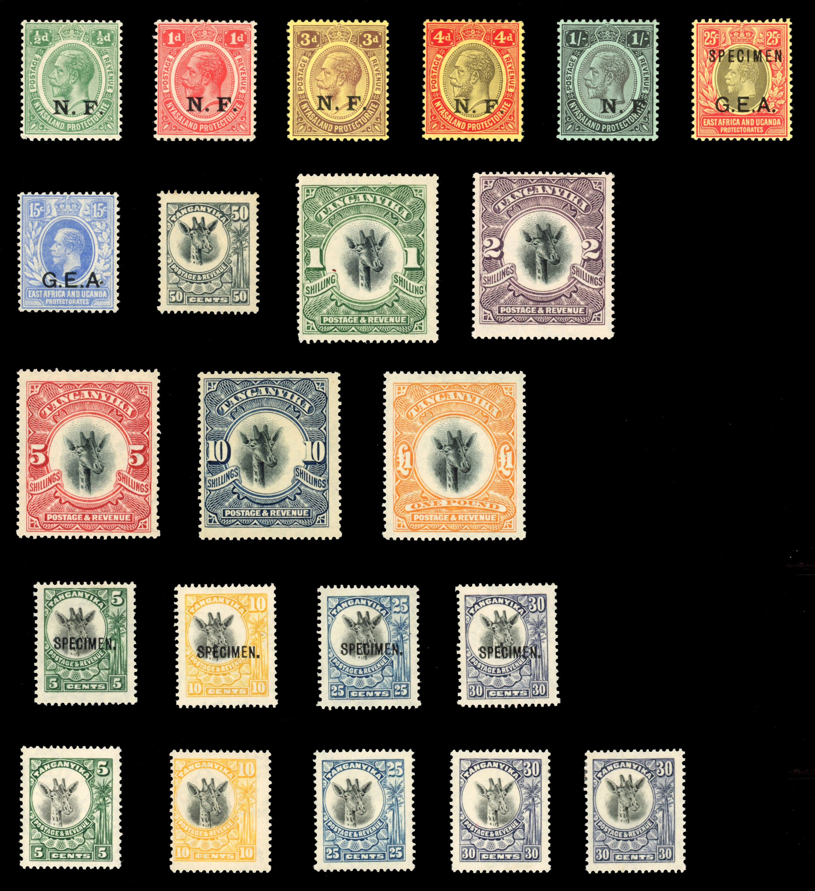 Tanganyika mint balance