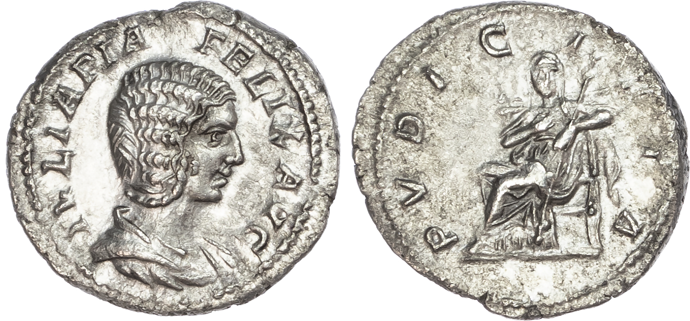 Julia Domna (Wife of Septimius Severus) AR Denarius, Rome, 2.27g. 
