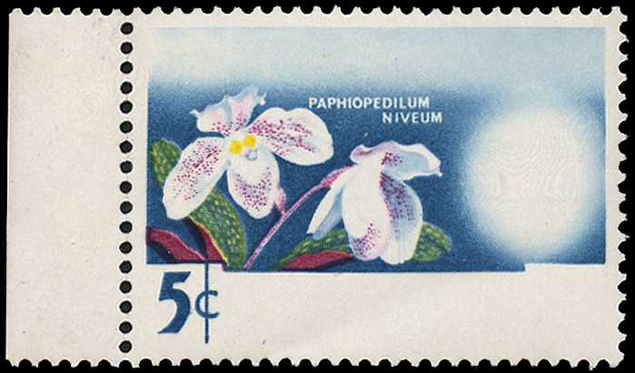1965 5c paphiopedilum nivium l/h...