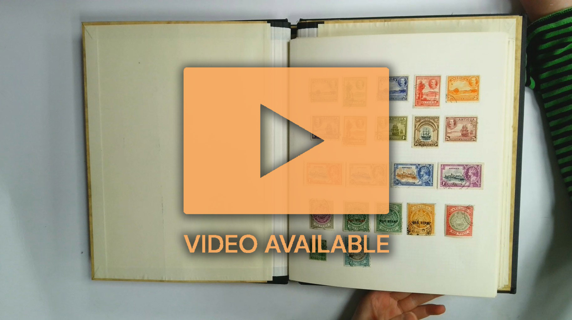 British Commonwealth mainly KGV used collection in two albums
