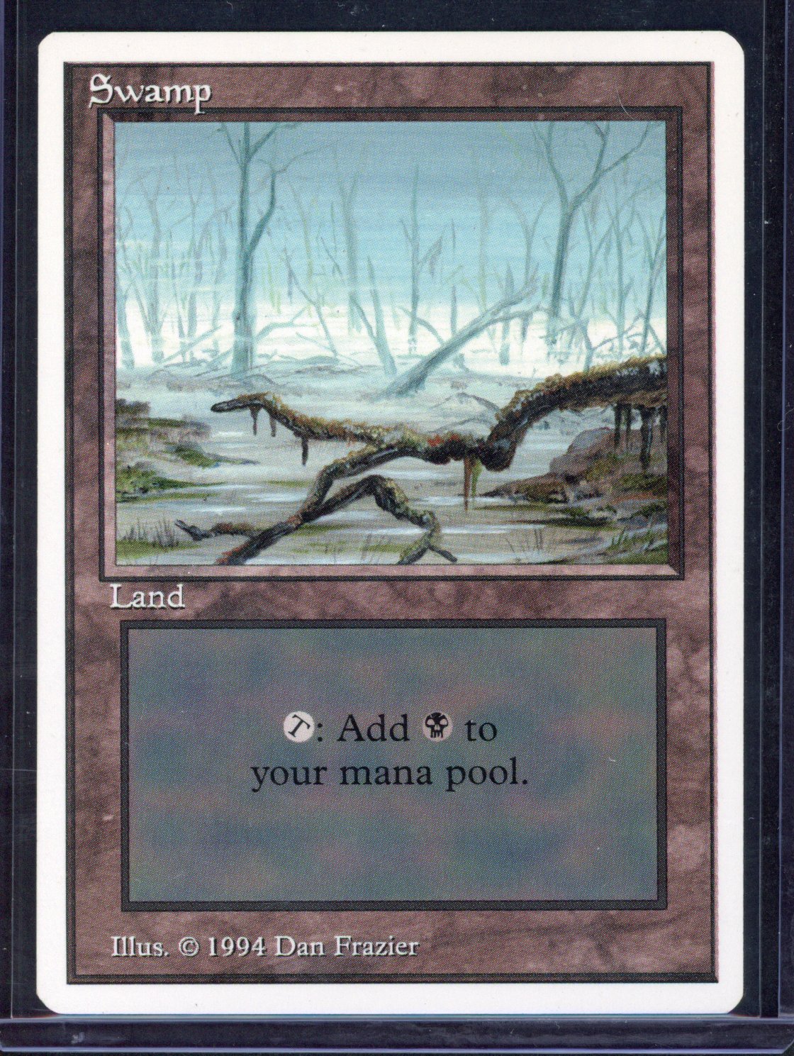 Magic The Gathering - Summer Magic Swamp - Near Mint