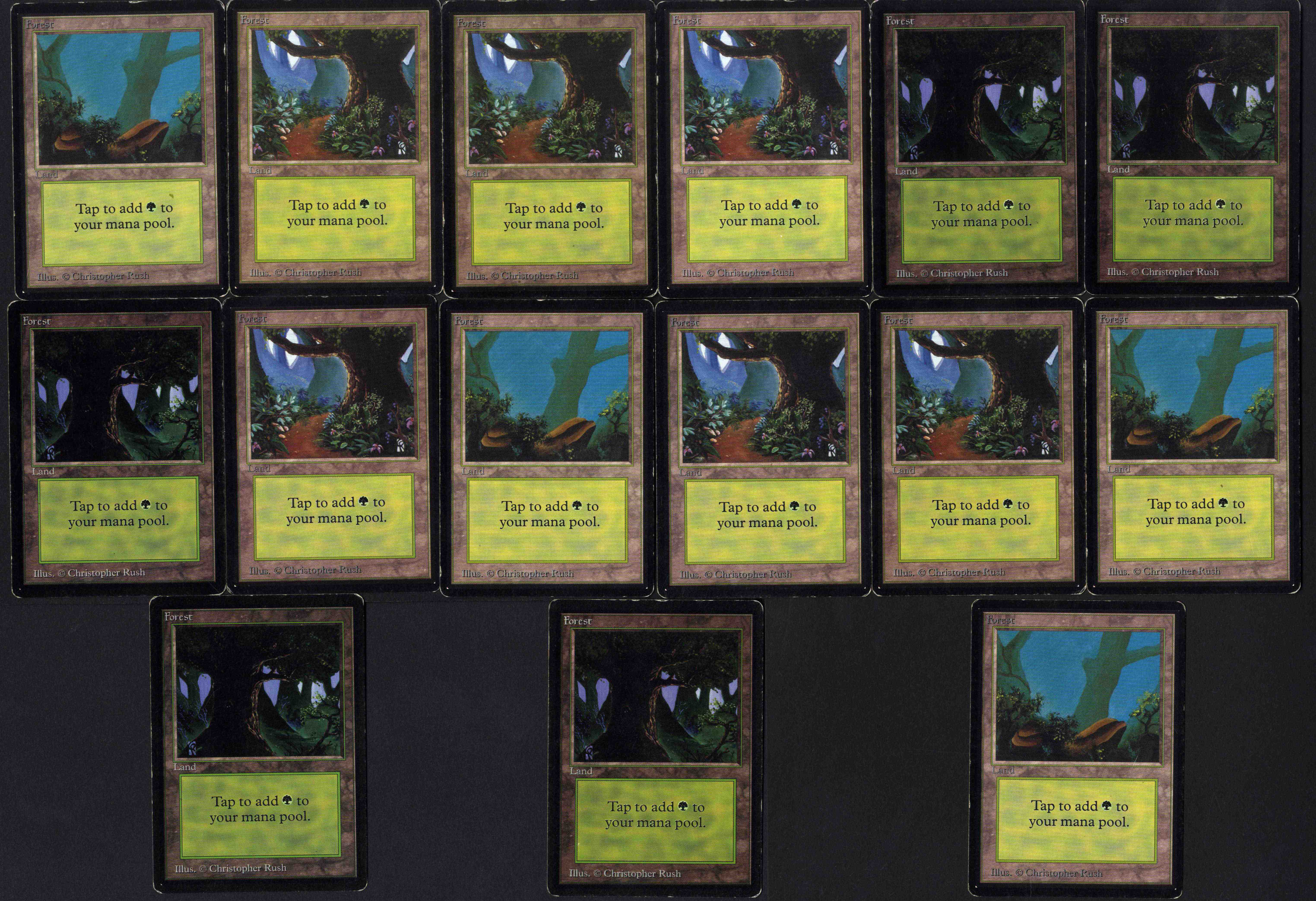 Beta Basic Forest Collection 15 Copies