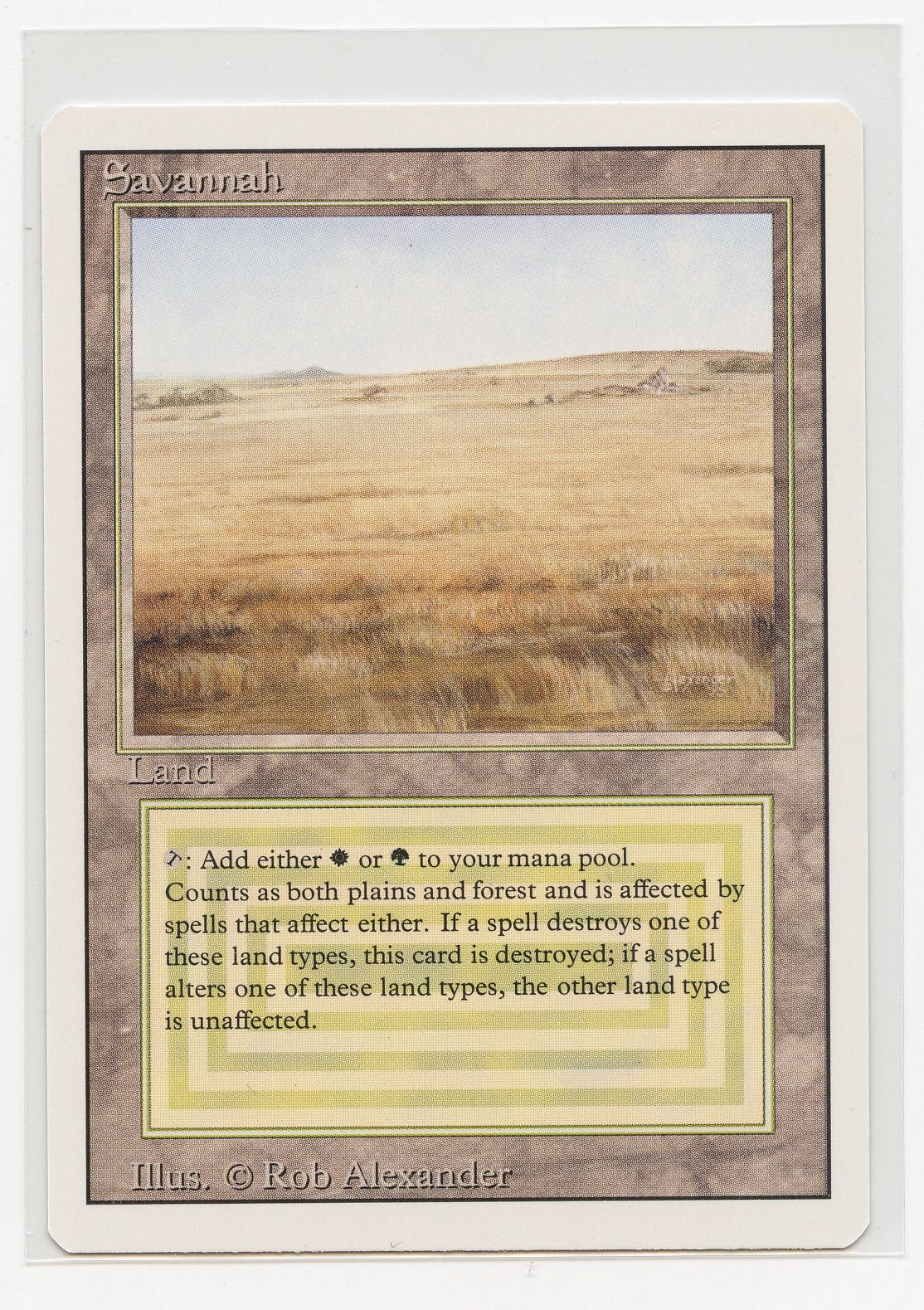 Savannah - Revised Dual Land (NM)