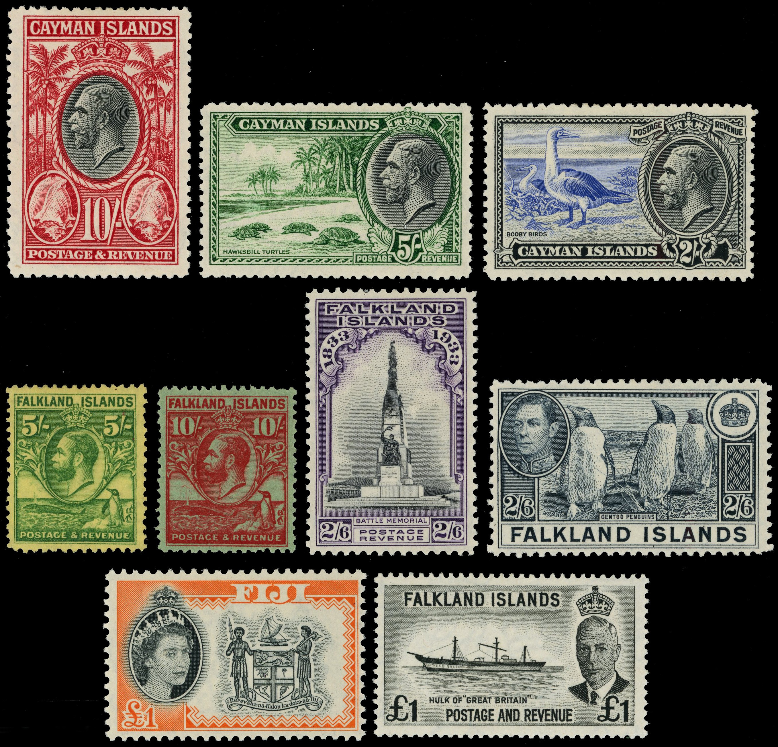 Specialised bird thematic collection, housed...