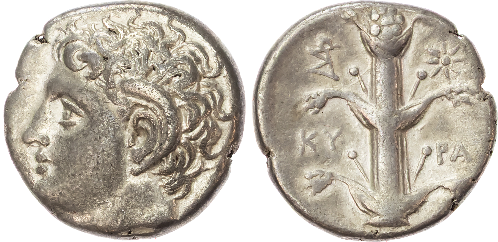 Kyrenaica, Kyrene, time of Magas (c. 294-275 BC) AR Didrachm, 7.60g. 