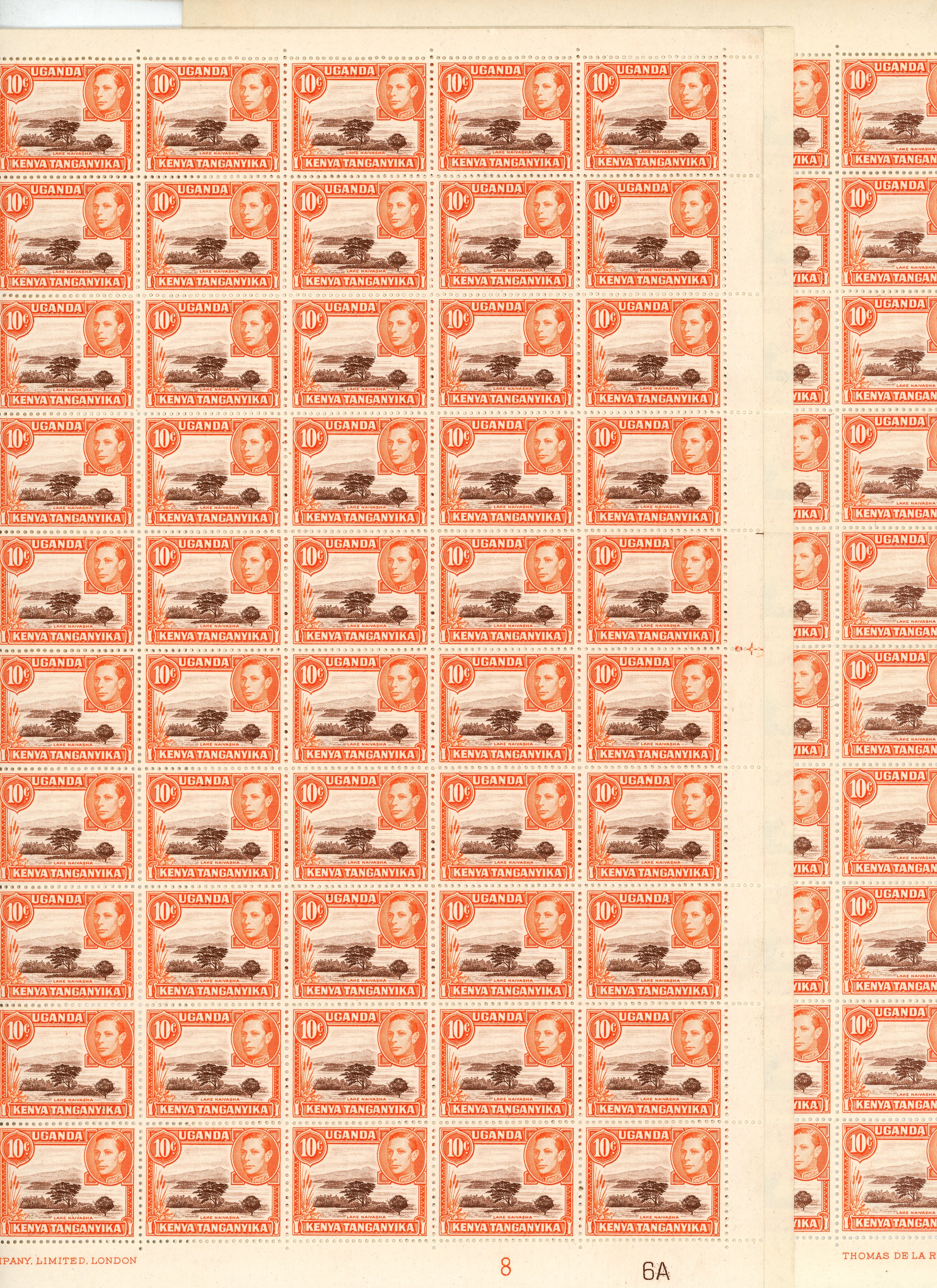 KUT SG 134 multiples mint