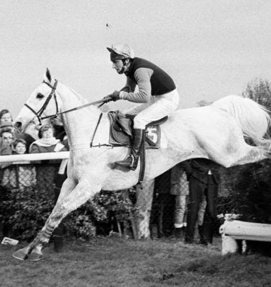 November 11th Horse Racing Memorabilia Live Auction in partnership with Weatherbys 