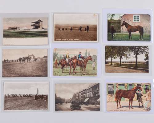 Horse racing postcards collection