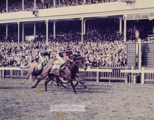 Six framed horse racing photographs,
 colour and b&w, comprising Norfolk Air 1973; John Splendid 1963; Camouflage, Royal Hunt Cup 1973; Quick As Light