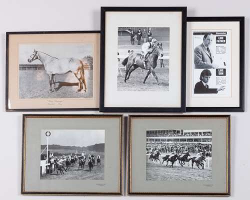 Collection of ten vintage horse racing photographs