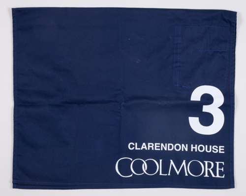 No.3 number cloth worn by Clarendon House in the 2022 Coolmore Nunthorpe Stakes at York