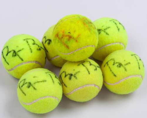 Seven various Bjorn Borg autographed tennis balls