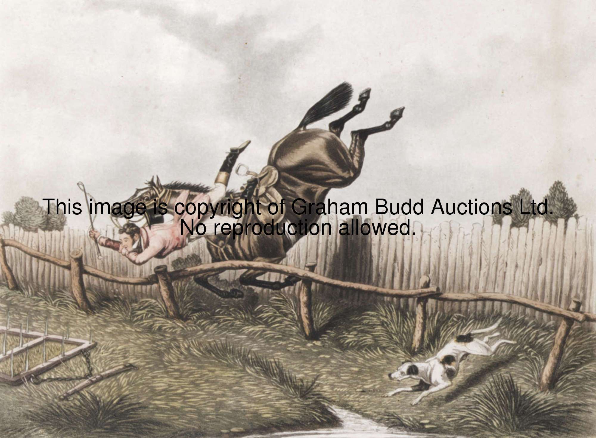 0001_RNjdhV.JPG