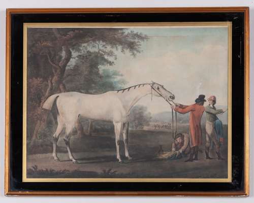 John Nost Sartorious (1759-1828) colour print of the Duke of Bedford's racehorse Grey Diomed