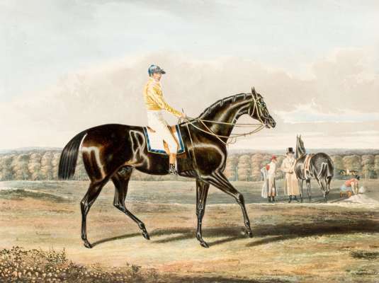After John Frederick Herring Snr. (1795-1865) JACK SPIGOT, THE WINNER OF THE GREAT St. LEGER AT DONCASTER 1821 colour aquatint engraved by Thomas Suth