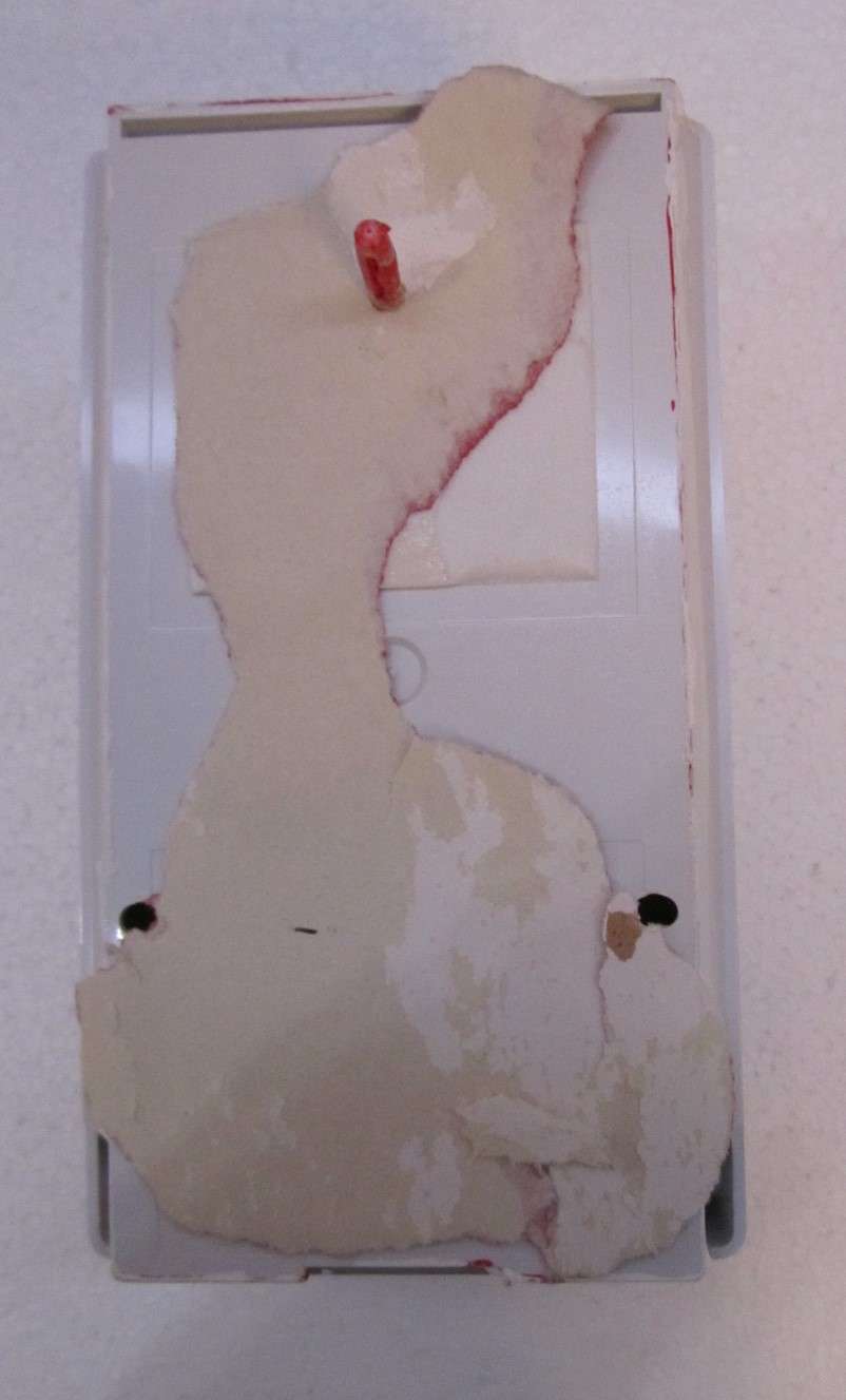 0003_zOculi.JPG